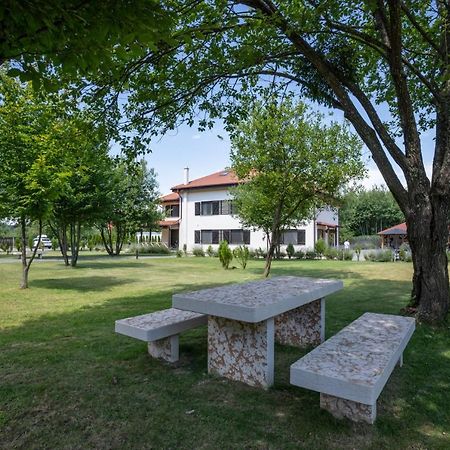Pensiunea Negoiu Порумбаку-де-Жос Екстер'єр фото