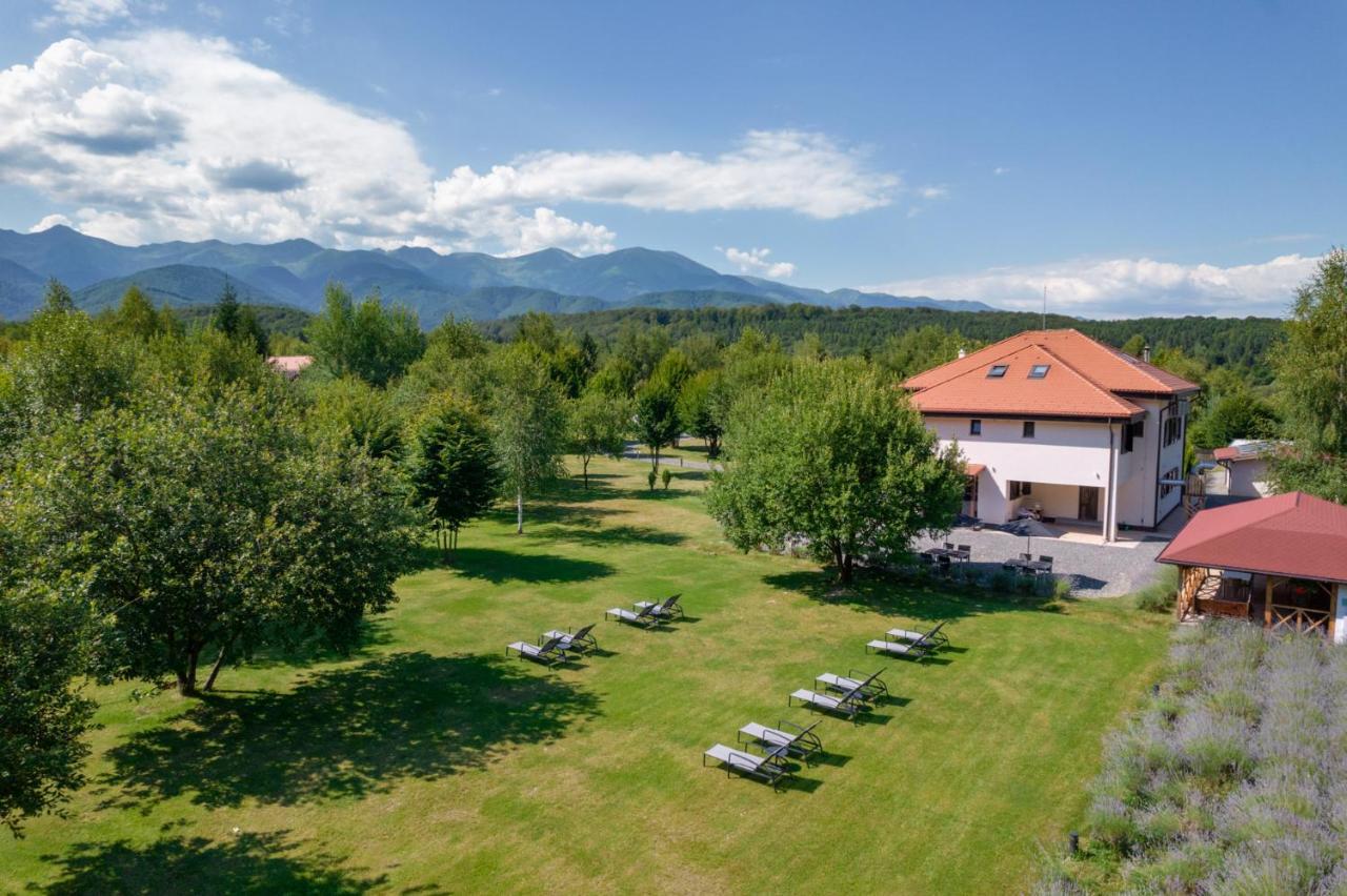 Pensiunea Negoiu Порумбаку-де-Жос Екстер'єр фото