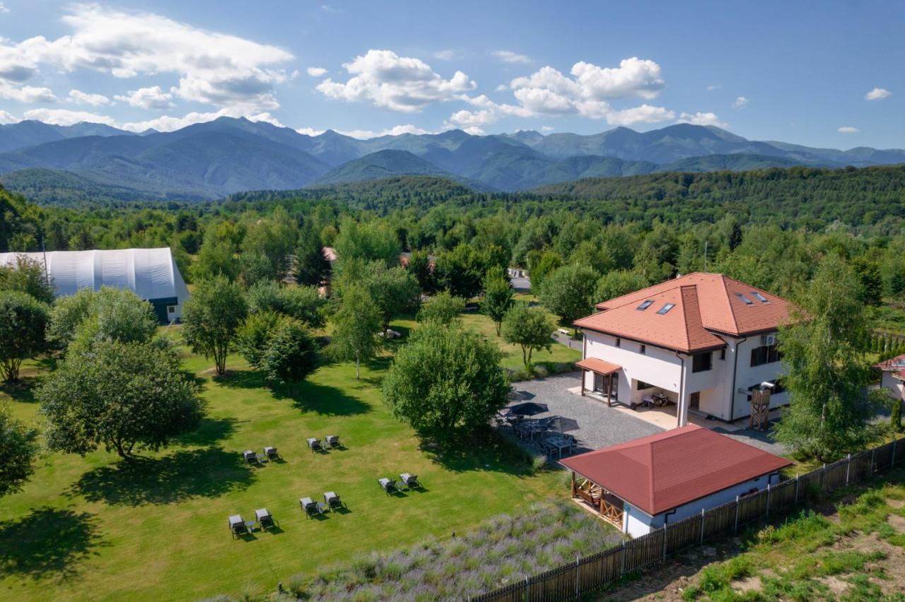 Pensiunea Negoiu Порумбаку-де-Жос Екстер'єр фото