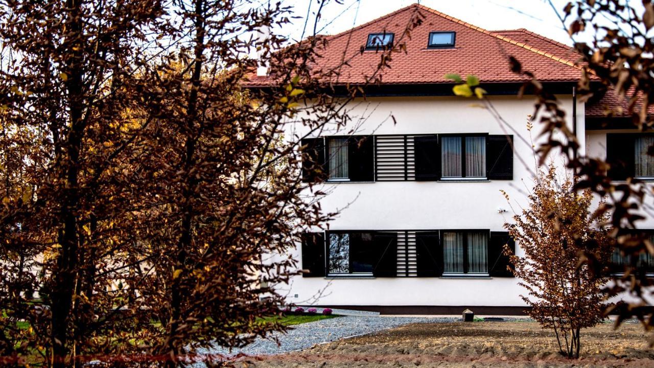 Pensiunea Negoiu Порумбаку-де-Жос Екстер'єр фото
