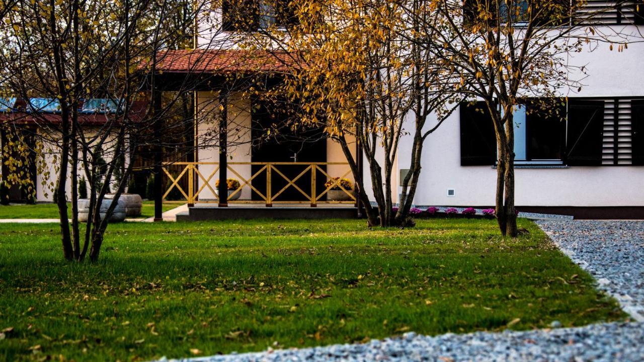 Pensiunea Negoiu Порумбаку-де-Жос Екстер'єр фото